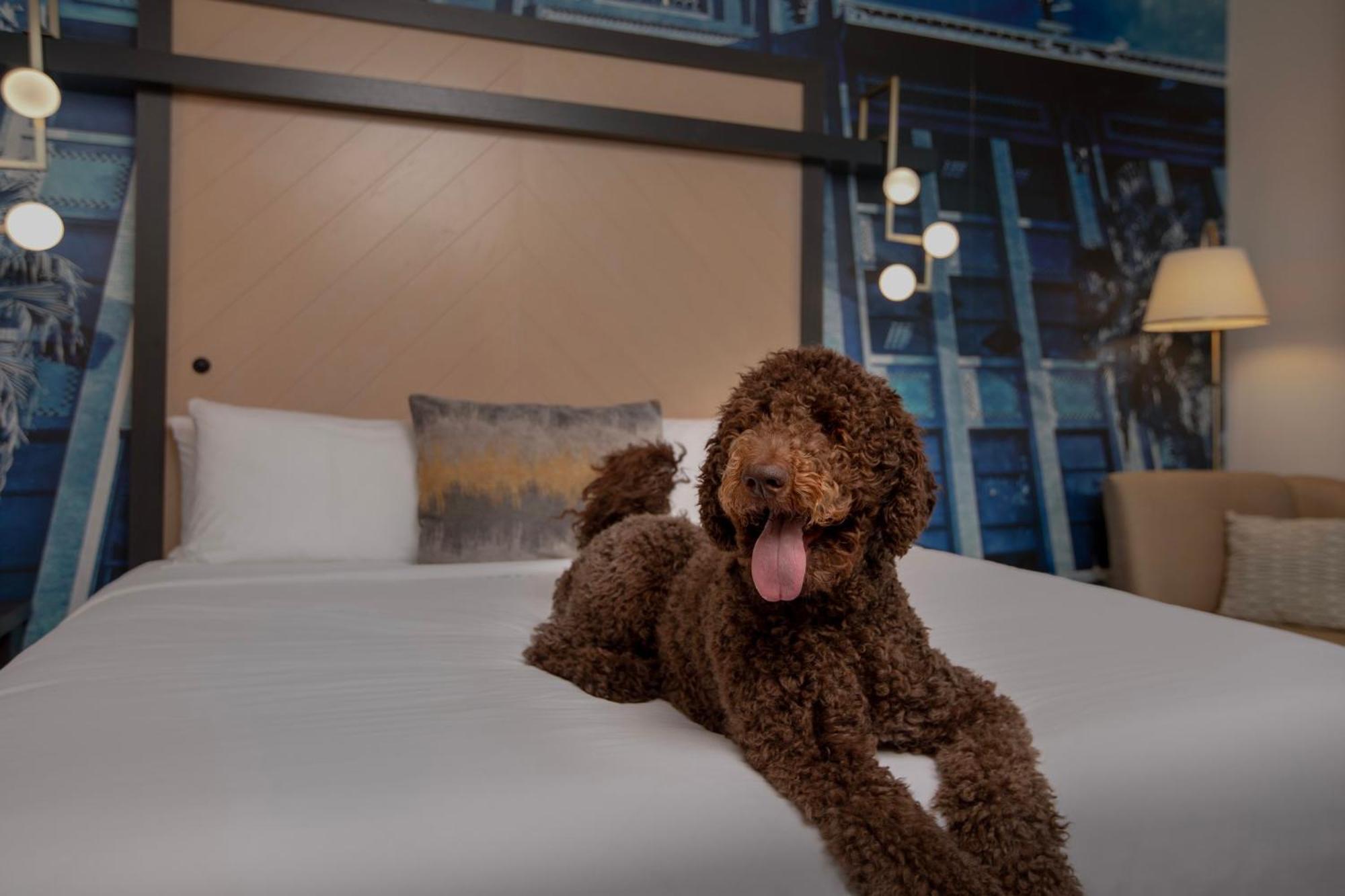 Hotel Indigo Jacksonville-Deerwood Park By Ihg Εξωτερικό φωτογραφία